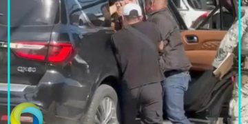 Detienen en Cancún a CEO de delfinario