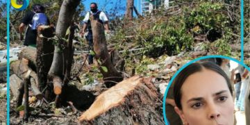 Frena tribunal federal plan ecocida de Ana Paty Peralta para Cancún