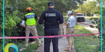 Hallan presuntos desechos quirúrgicos en área verde de Playa del Carmen
