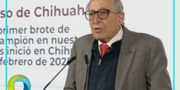 Van 28 muertes confirmadas por sarampión en México; Chihuahua encabeza casos