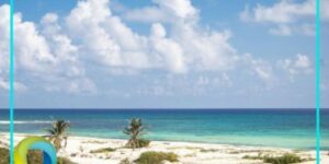 Advierte Greenpeace que proyecto en Cozumel traerá daño ambiental permanente
