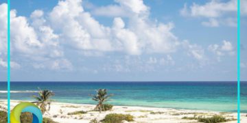 Advierte Greenpeace que proyecto en Cozumel traerá daño ambiental permanente