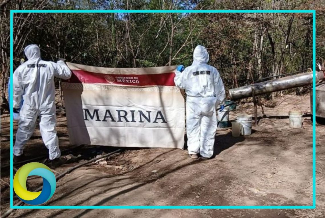 Desmantelan y destruyen laboratorios clandestinos en Durango, Sinaloa y Michoacán