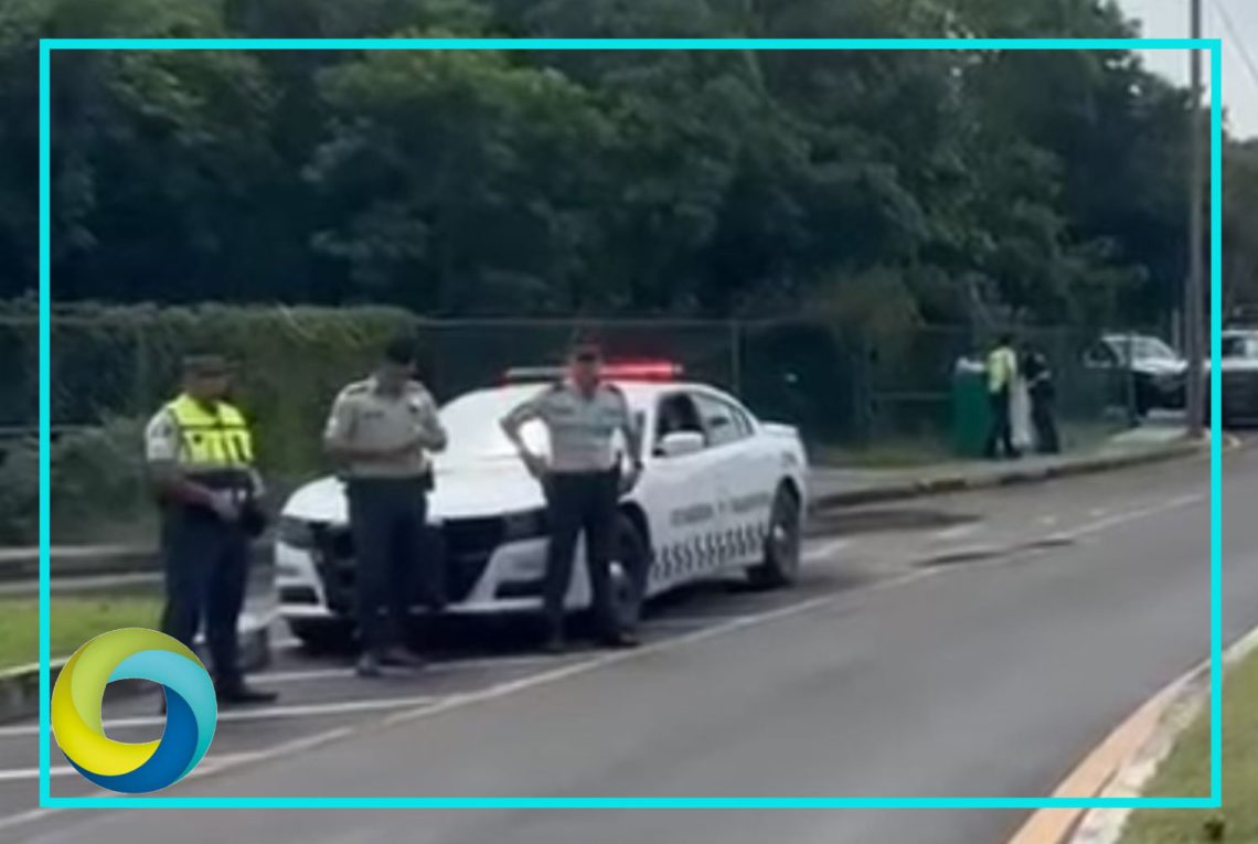Ineficaces, operativos contra transporte pirata en el aeropuerto de Cancún