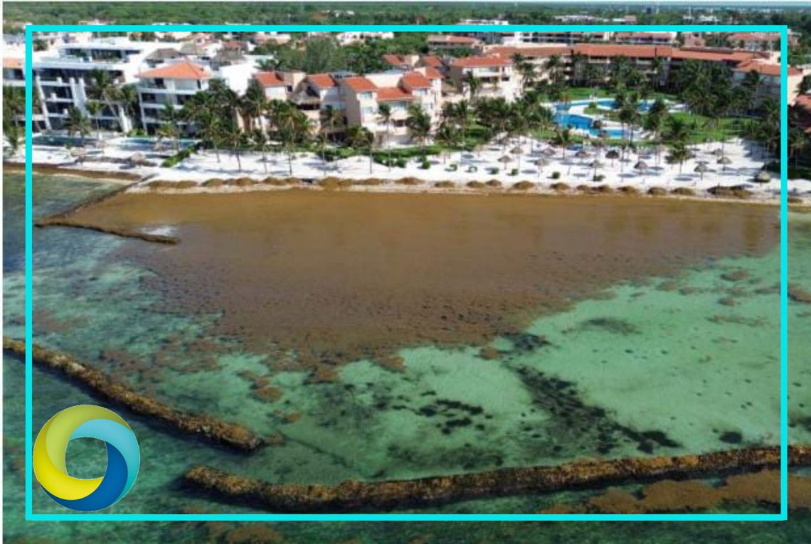 Propone Puerto Aventuras proyecto de 6 mdp para barreras antisargazo