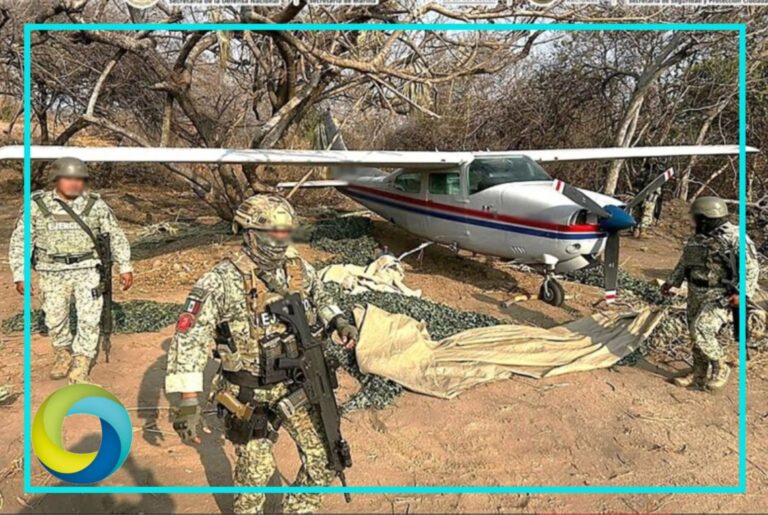 Aseguran avioneta y más de media tonelada de cocaína en Oaxaca