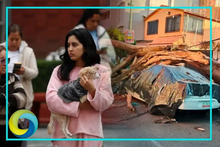 Daños menores, derrumbes y fugas de gas en Guerrero por sismo de 6.5