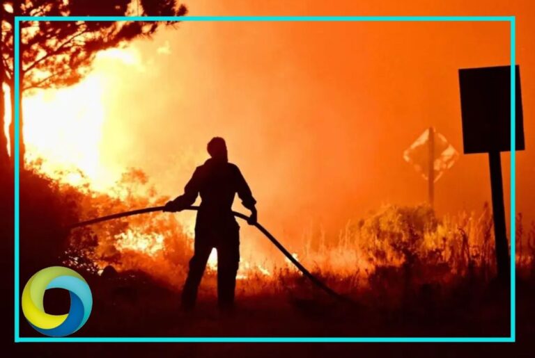 Ambientalistas atribuyen ‘ecocidio’ en la Patagonia a falta de fondos para combatir incendios