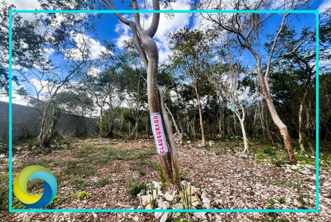 Clausuran actividades irregulares en predio con valor ambiental y arqueológico en Dzibilchaltún, en Yucatán