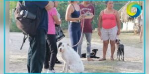 Detectan banda de ladrones que opera en la Playa 72 de Playa del Carmen