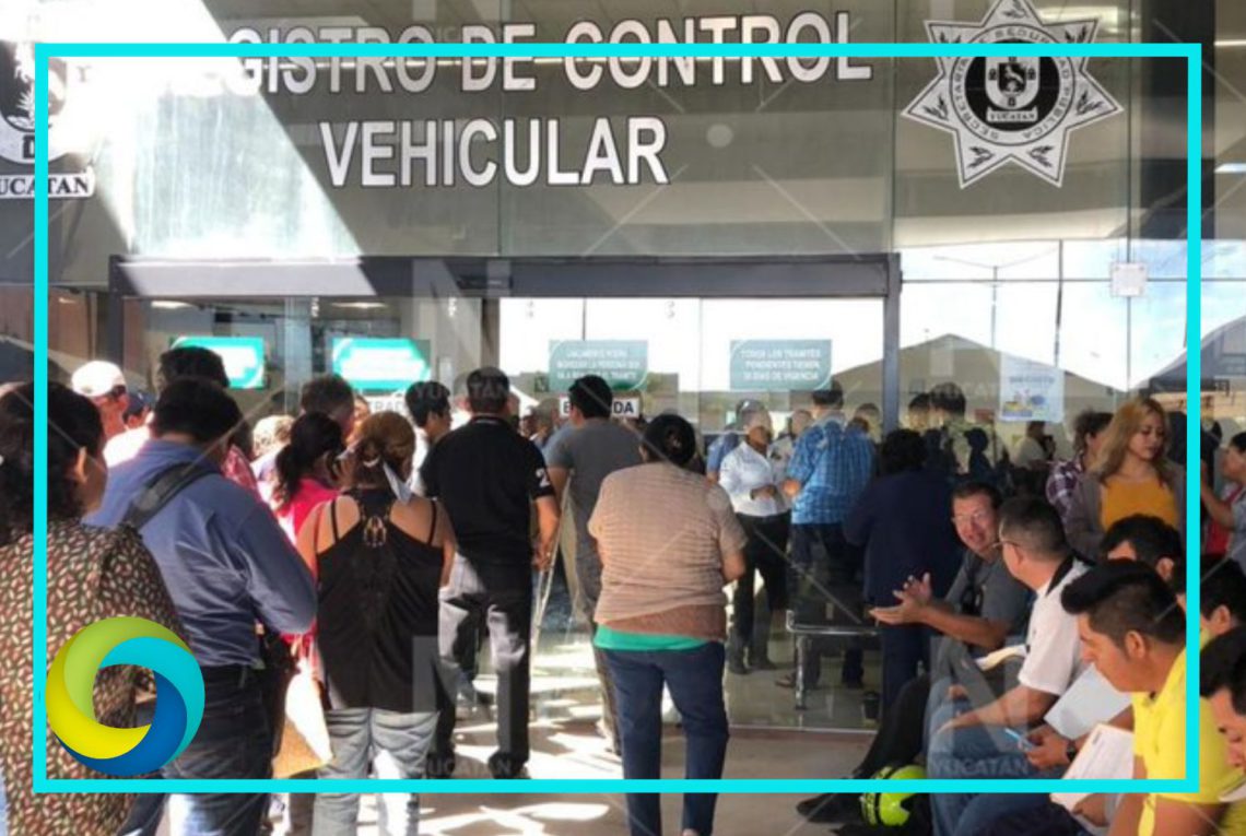 Arranca en Quintana Roo el Canje de Placas 2026 y el Registro Estatal de Contribuyentes