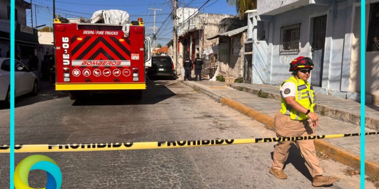 Rescatan 3 perros de palapa en llamas en Playa del Carmen