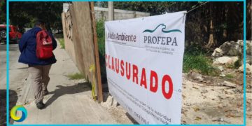 Clausura Profepa predio deforestado de Bepensa en Xcalacoco